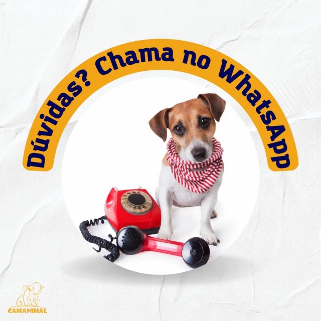 Surgiu alguma dúvida sobre nossos produtos ou quer saber mais sobre a Camanimal?

Estamos à disposição para atendê-lo pelo WhatsApp (11) 4138-4036, atendimento de segunda a sexta das 09h às 19h e sábado das 09h às 12h.

#camanimal #caesegatos #produtospet